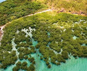 The Singapore Shipwreck Dive Site - Keswick Island - Attractions Melbourne 0