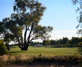 Black Bull Golf Club - Attractions Melbourne 2