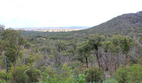 Ben Hall's Cave Walking Track - Attractions Melbourne 0