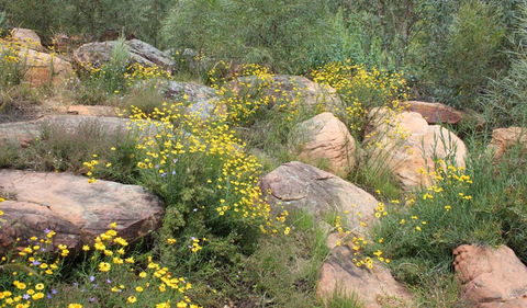 Ben Hall's Cave Walking Track - Attractions Melbourne 2