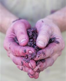 Granite Hills Winery - Attractions Melbourne 3