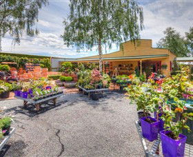 Springhill Nursery - Attractions Melbourne 2