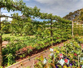 Springhill Nursery - Attractions Melbourne 5