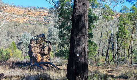Eualdrie Walking Track - Attractions Melbourne 0