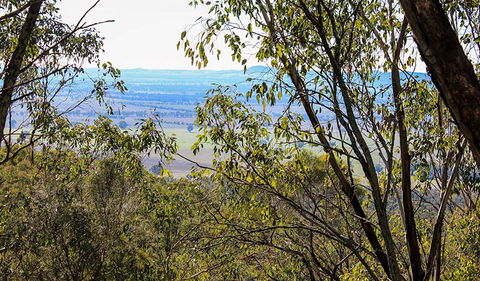 Eualdrie Walking Track - Attractions Melbourne 2