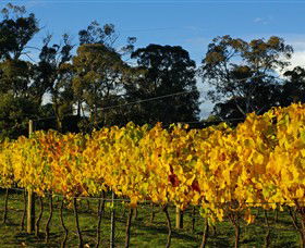 Paramoor Winery - Attractions Melbourne 3