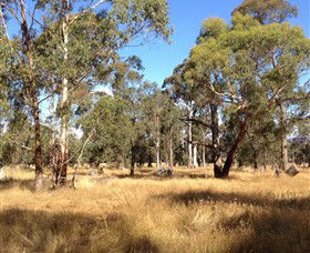Paramoor Winery - Attractions Melbourne 4