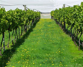 Paramoor Winery - Attractions Melbourne 6