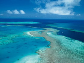 Fairey Reef - Attractions Melbourne 2