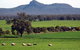 The Rock Nature Reserve - thumb 0