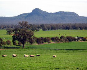 The Rock Nature Reserve - Attractions Melbourne 0