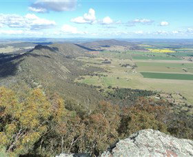 The Rock Nature Reserve - Attractions Melbourne 3