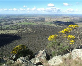 The Rock Nature Reserve - Attractions Melbourne 4