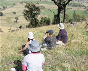 The Rock Nature Reserve - Attractions Melbourne 2