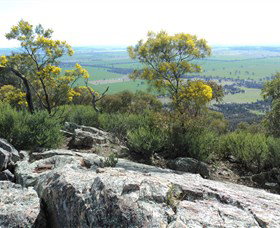 The Rock Nature Reserve - Attractions Melbourne 6