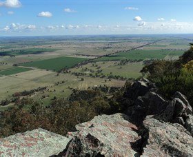 The Rock Nature Reserve - Attractions Melbourne 5