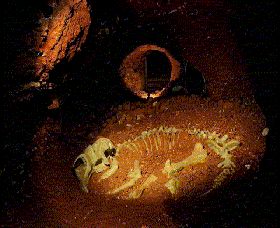 Wellington Caves And Phosphate Mine - Attractions Melbourne 2