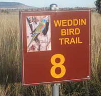 Weddin Bird Trails - Attractions Melbourne