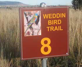 Weddin Bird Trails - Attractions Melbourne 0