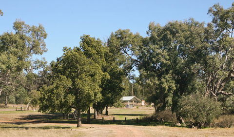 Terry Hie Hie Aboriginal Area - Attractions Melbourne 0