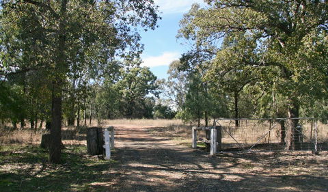 Terry Hie Hie Aboriginal Area - Attractions Melbourne 2