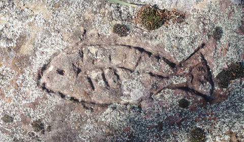 Terry Hie Hie Aboriginal Area - Attractions Melbourne 3