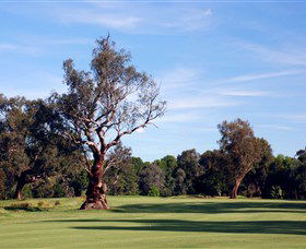 Corowa Golf Club - Attractions Melbourne 5