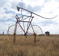 Animals on Bikes - Attractions Melbourne