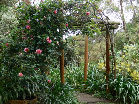 Timandra By The Sea - Attractions Melbourne 9