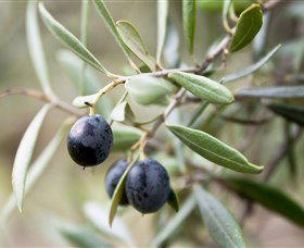 Wollundry Grove Olives - Attractions Melbourne 2
