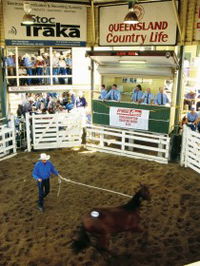 Gracemere Exhibition Complex