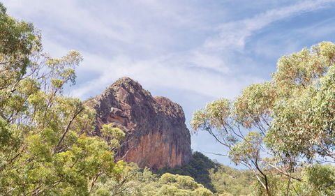 Green Camp - Attractions Melbourne 0