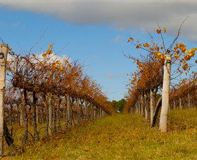 Charles Sturt University Winery Wagga Wagga - Attractions Melbourne 3