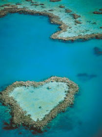 Heart Reef - Attractions Melbourne 3
