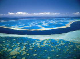 Hardy Reef - Attractions Melbourne 0