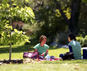 Botanic Gardens Wagga Wagga - Attractions Melbourne 0