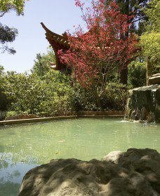 Botanic Gardens Wagga Wagga - Attractions Melbourne 2