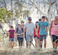 Winton Wetlands Reserve - Attractions Melbourne