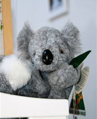 Timboon Toybox