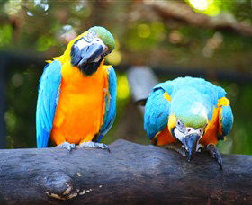 The Rockhampton Zoo - Attractions Melbourne 2