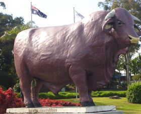Rockhampton Bull Statues - Attractions Melbourne 0
