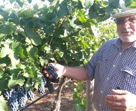 Rosnay Organic Farm And Vineyard - Attractions Melbourne 6