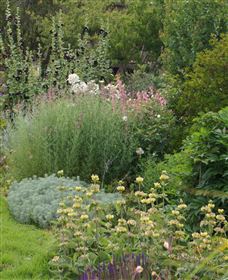 Perennialle Plants Nursery And Garden - Attractions Melbourne 6