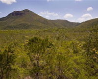 Kutini-Payamu Iron Range National Park CYPAL