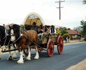 The Trek Wagon Walla Walla - Attractions Melbourne 1