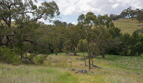 Verandah Cave - Attractions Melbourne 1