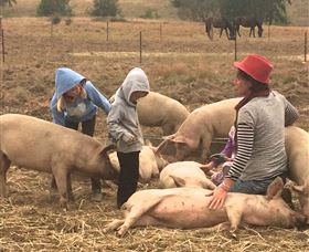 Springview Eco-Farm - Attractions Melbourne 2