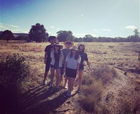 Springview Eco-Farm - Attractions Melbourne 5
