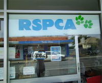 R.S.P.C.A Opportunity Shop