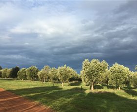 Teesdale VIC Attractions Melbourne